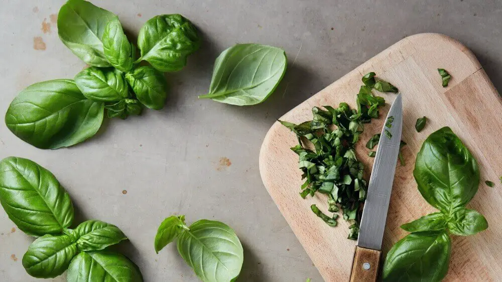 Basil in Tomato Sauce vs Pizza Sauce