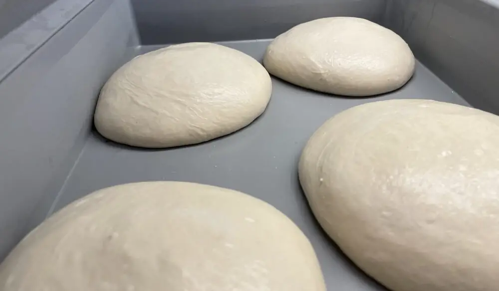 poolish pizza dough