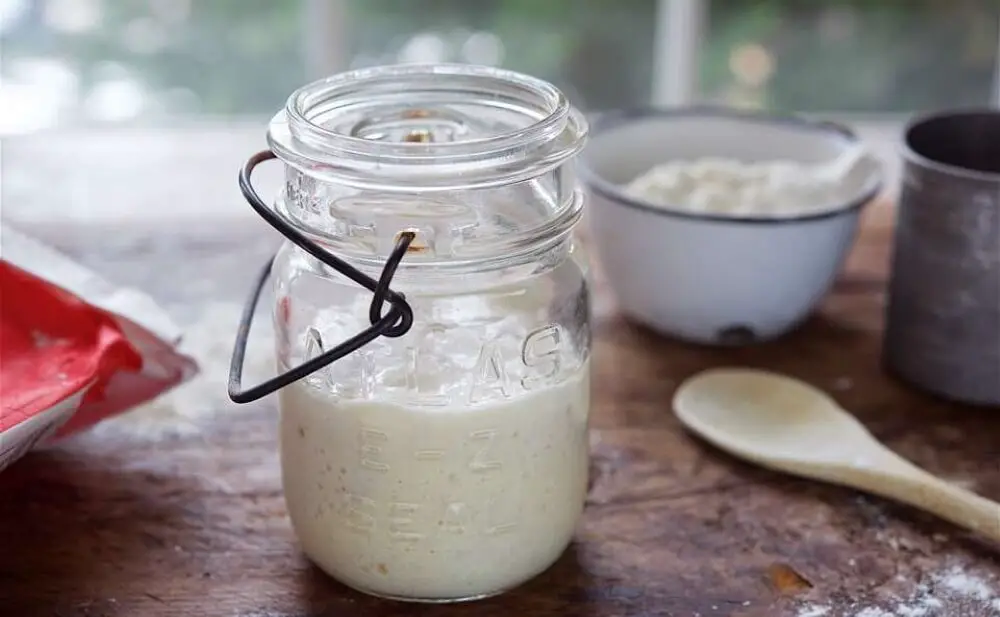 sourdough starter