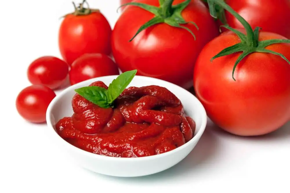 tomato puree