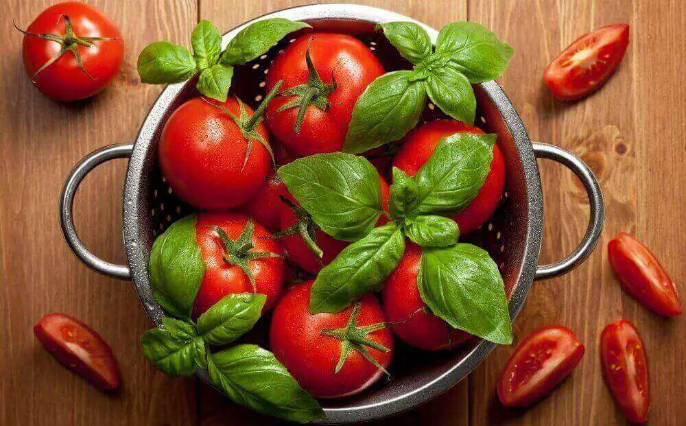 tomatoes and basil