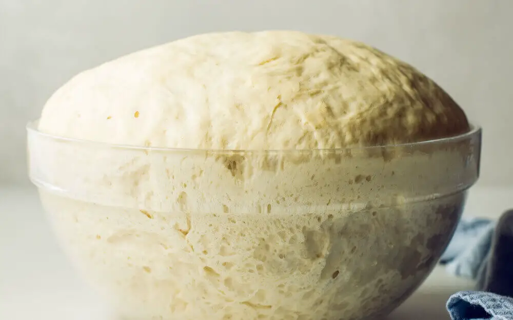 pizza yeast dough